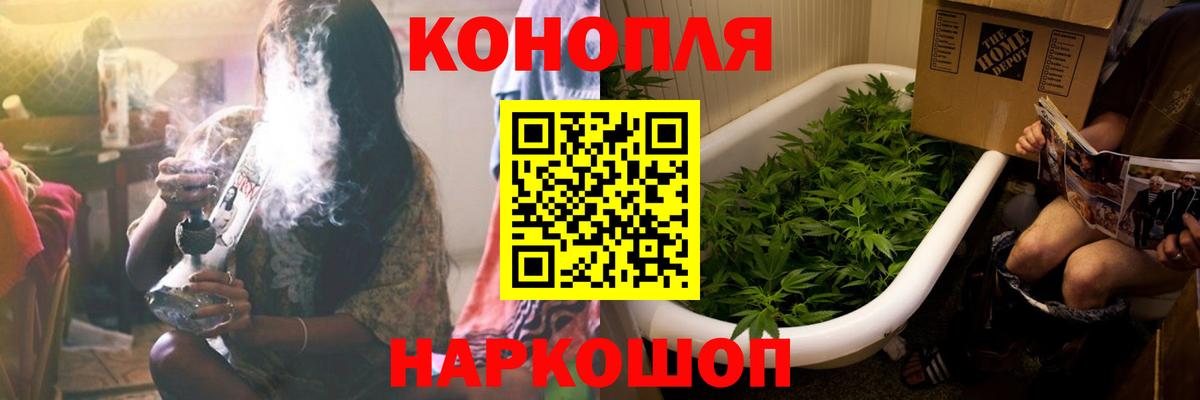 Шишки марихуана семена  Вход с VPN  Киреевск  МАРИХУАНА OG Kush 